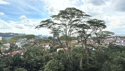 The Skywoods (D23), Condominium #616421711